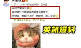 英凯爆料视频,事件背后惊人真相