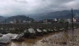 桂林涨水爆料视频最新