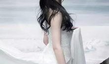 刘亦菲爆料白鹿视频,一场娱乐圈的“意外”曝光