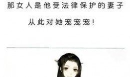 小说推文娱乐圈爆料文,揭秘明星背后的秘密与真相