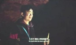 宁哥影视爆料大全最新版,揭秘娱乐圈最新动态与幕后故事