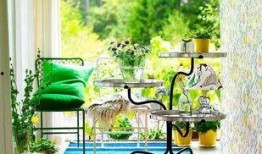 家庭花园爆料视频下载,揭秘园艺达人种植技巧与美丽瞬间