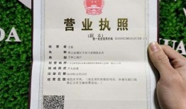 合肥王先生最新爆料,揭秘背后惊人真相！