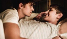 男同性恋在线观看,在线观看的私密之旅