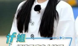 阚清子爆料瘦身秘诀视频,揭秘明星瘦身秘诀，轻松拥有完美身材