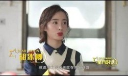 邢菲最新爆料新闻视频播放,揭秘幕后故事，视频播放引发热议