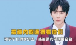 刘宇宁爆料演艺圈视频,真实与虚幻的碰撞