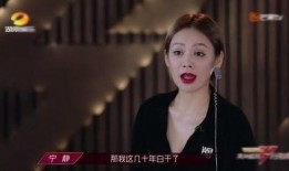 宁静八卦爆料视频大全,视频大全背后的精彩故事