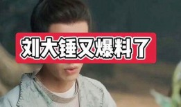 刘大锤最近爆料视频播放,视频播放背后的惊人真相揭露