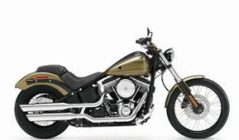 哈雷夜行者爆料了吗视频