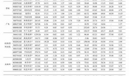 新皮肤爆料价格表最新,价格揭晓，惊喜与期待并存！