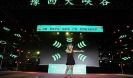 河南音乐节爆料最新消息,璀璨阵容揭晓，狂欢盛宴即将启幕！