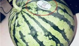 吃瓜网红图片头像,揭秘吃瓜网红的潮流头像魅力