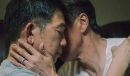 男同性恋在线观看,在线观看的私密之旅