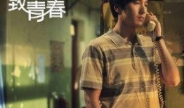 电影致我们终将逝去的青春在线观看,青春岁月里的爱情与成长