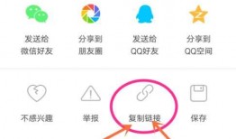 好友爆料视频大全集下载,揭秘幕后真相，带你领略网络爆料魅力