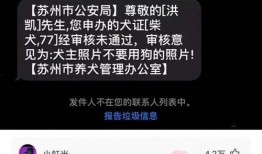娱乐评论爆料文案短句搞笑,笑翻全场！娱乐爆料文案搞笑集锦
