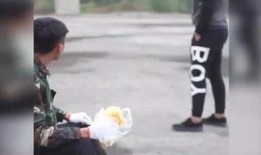 爆料虫子玩具视频