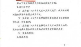 最新局势爆料新闻视频,独家爆料新闻视频深度解析