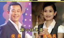 娱乐圈吃瓜指南明星代称,明星代称背后的秘密与趣味