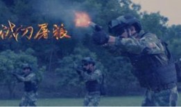 战毒狼电影在线观看,在线揭秘毒品斗争的惊心动魄