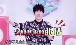 刘宇宁爆料演艺圈视频,真实与虚幻的碰撞