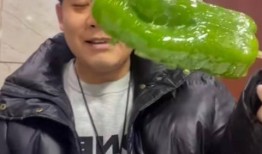 网红吃瓜爆料秃崽视频大全