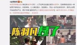 傅国平妻子爆料了吗视频,傅国平妻子爆料视频引发热议