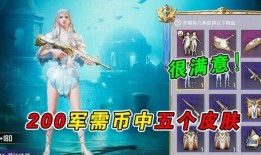 军需币新皮肤最新爆料,炫酷特效，神秘背景揭秘