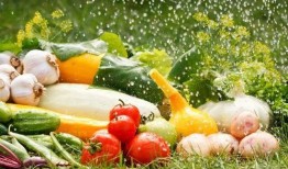 蔬菜保鲜爆料方法视频