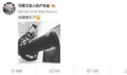 一飞直播爆料最新消息,最新热点事件深度解析