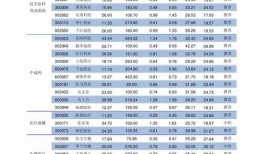 新皮肤爆料价格表最新,价格揭晓，惊喜与期待并存！