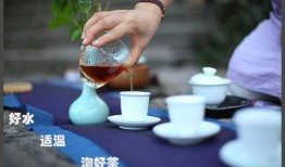 茶生活茶爆料视频,跟随茶爆料视频探寻茶文化魅力