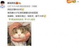英凯爆料视频,事件背后惊人真相