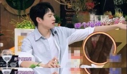 王源黑粉最新爆料视频在线观看,揭秘背后惊人真相