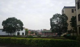 隆都沟墘村最新爆料,揭秘神秘事件背后的真相！”