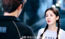 助理爆料真实明星事件视频,揭秘明星真实事件幕后真相