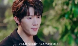 助理爆料真实明星事件视频,揭秘明星真实事件幕后真相