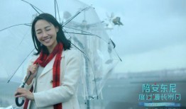 白百何在线观看,重温经典，感受演技魅力