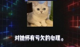快乐吃瓜娱乐新闻视频大全,快乐吃瓜时刻大盘点！