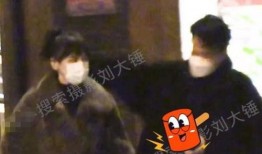 李晓峰被爆料了吗视频,揭秘背后真相