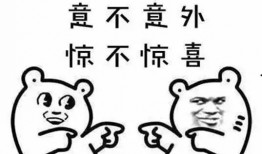 华润爆料最新消息视频曝光,视频曝光惊人内幕，揭秘行业黑幕