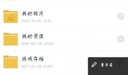 新春园林爆料视频下载百度网盘