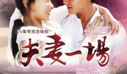 夫妻一场电视连续剧在线观看,情感纠葛，爱恨交织的婚姻旅程