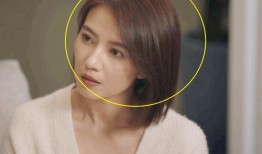 老汪爆料虎豹视频播放下载,老汪爆料播放下载全攻略