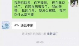 樊小慧删爆料视频,揭秘背后真相与争议