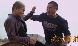 战毒狼电影在线观看,在线揭秘毒品斗争的惊心动魄