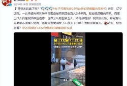 女子爆料商家视频大全最新,揭秘网络视频背后的惊人真相