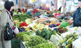 爆料江南买菜视频播放,揭秘明星日常购物瞬间