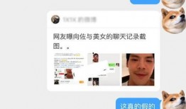 向佐出轨爆料者视频合集,事件全解析